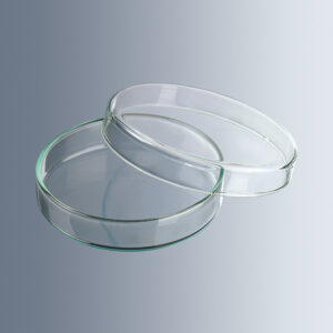 Caja Petri de 100 x 20 mm.