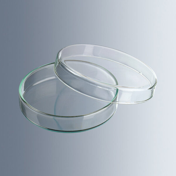 Caja Petri de 100 x 20 mm.